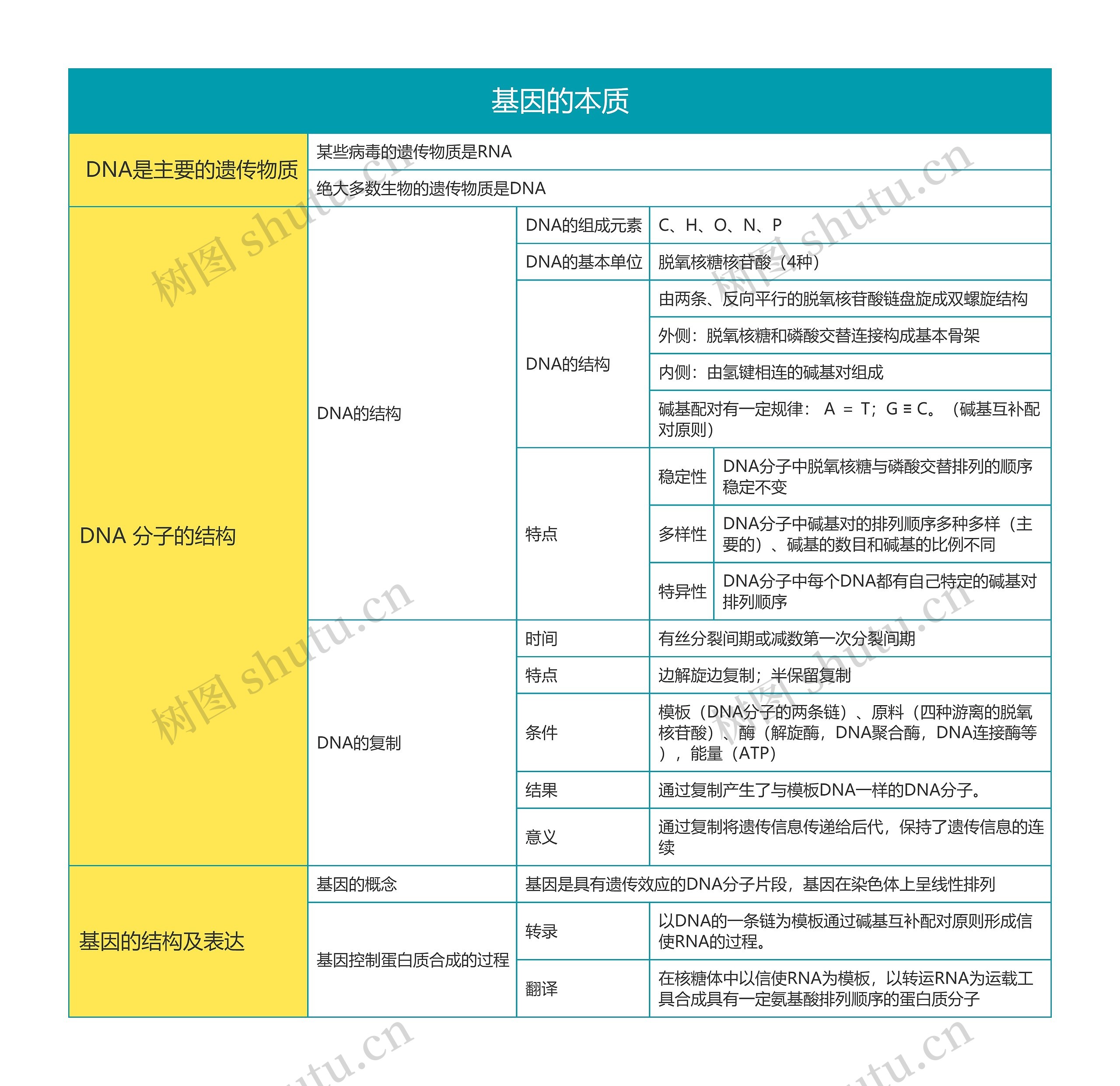 基因最新探索揭示生命奥秘新篇章，揭秘基因本质的新发现