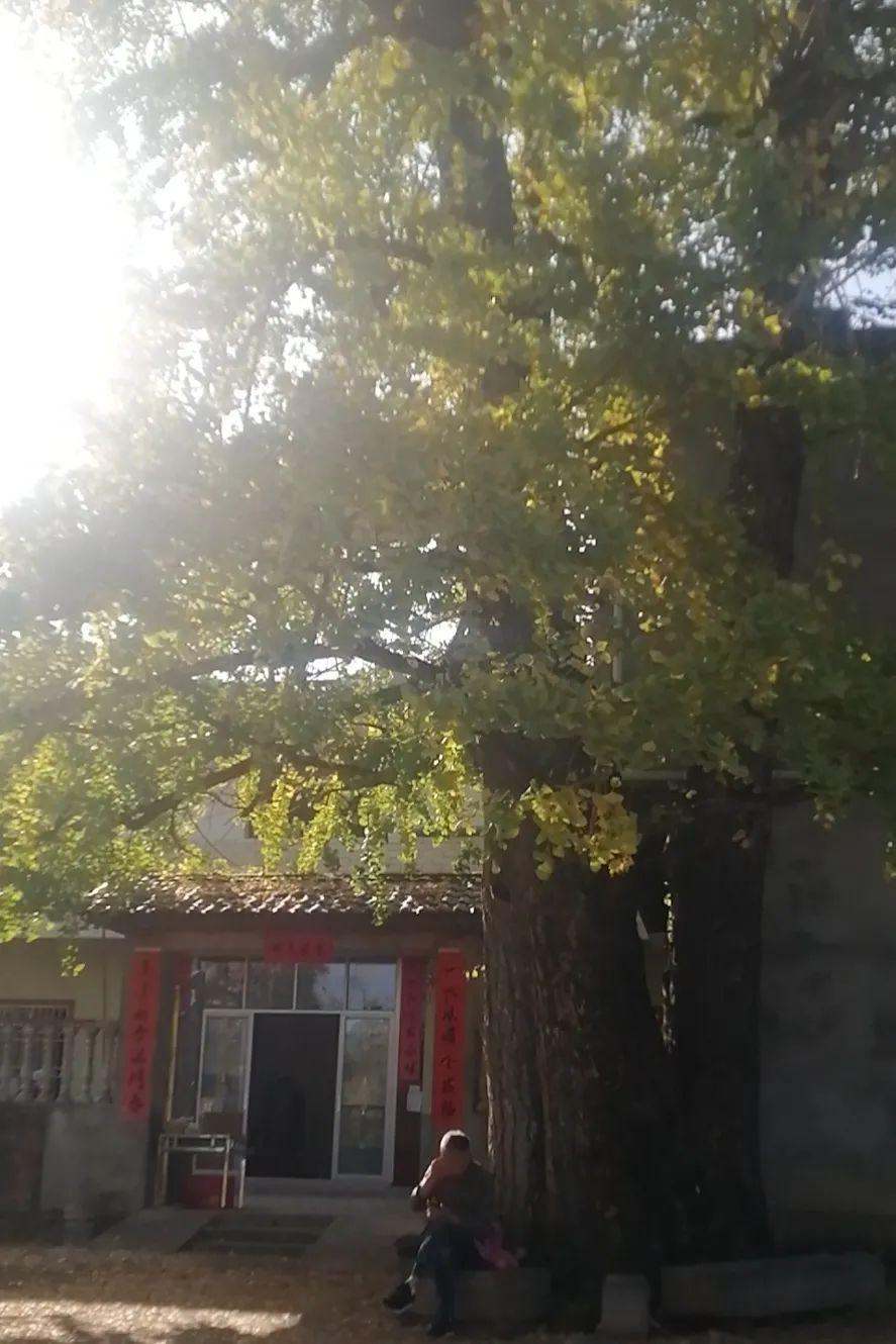 最新PS版本带你开启智慧之旅，实现梦想自信飞跃！